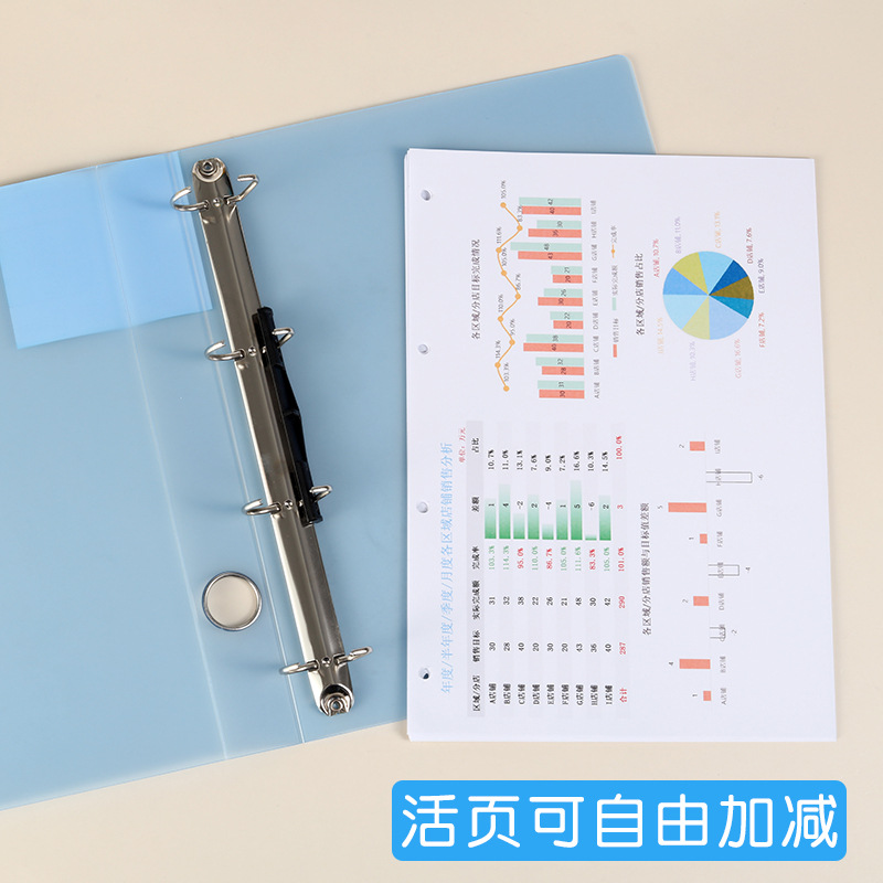 Шпилька для перфорации формата – обзор и цена Binder A4 Lever
